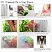 DIY 5D Diamond Painting Kit Full Diamond Dragon Goddess Embroidery Square Resinstone Cross Stitch Arts Craft Supply for Home Wall Decor (Dragon Goddess)