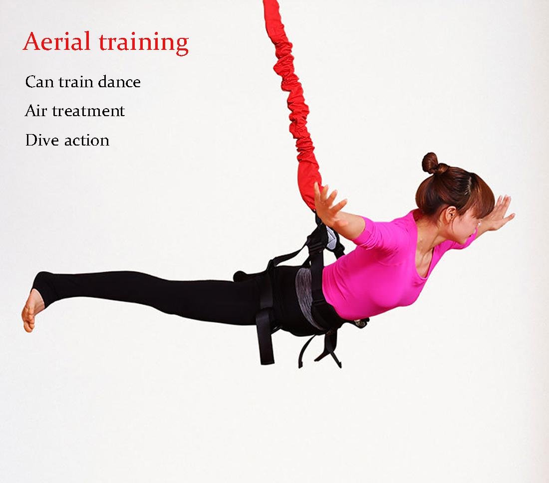 Exercise Bands Bungee Cord at Nicole Price blog