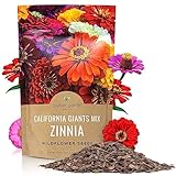 Bulk Zinnia Seeds - California Giants Mix - Bulk