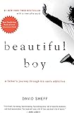 Beautiful Boy: A Father's Journey Through His Son's Addiction