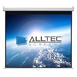 Alltec Screens ATS-M120V Manual Video Format