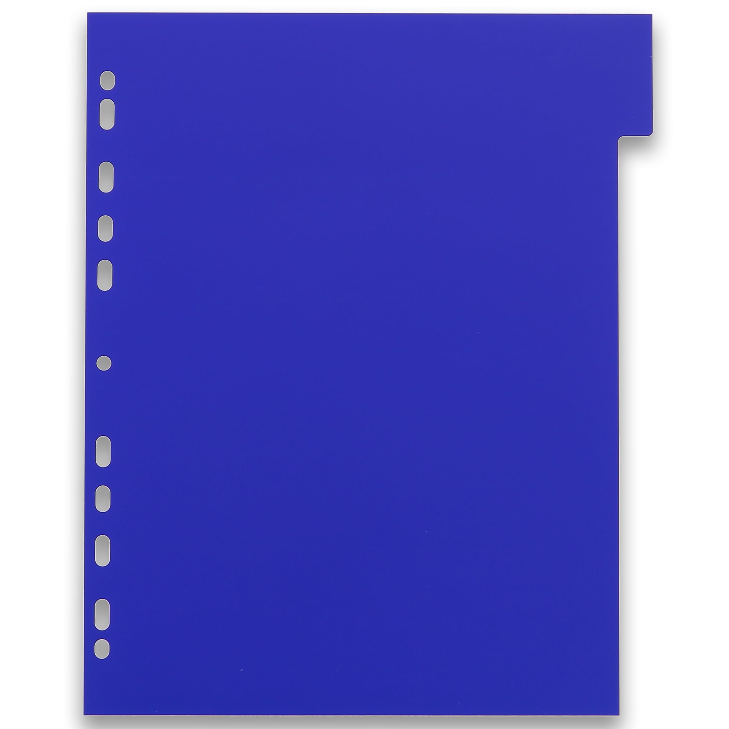 OXFORD Eleganzia A4XL 10 Packs of Neutral Dividers 6 Positions Opaque Polypropylene Thickness 30/100th Assorted Colours