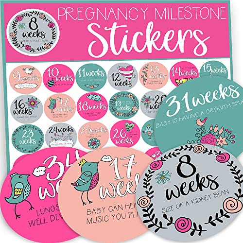 Pregnancy Weekly Stickers, Belly Stickers, Baby Bump Stickers ...