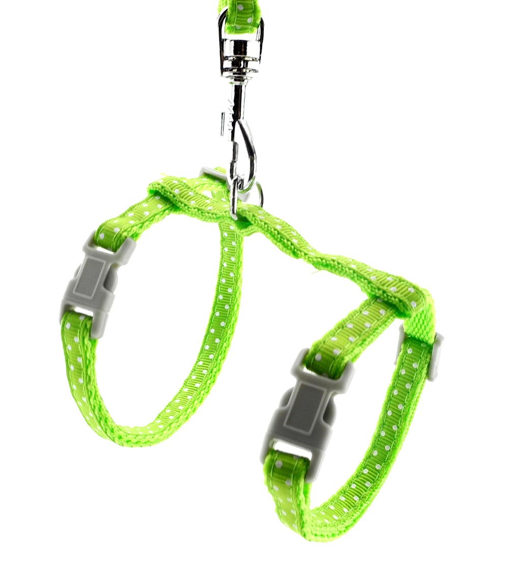 SMALLLEE_LUCKY_STORE Pet Cat Harness and Lead Leash Set Polka Dots Collar Chest Strap Adjustable Escape Proof Walking Training for Kitten Puppy Rabbit,Green — image 1