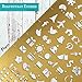 Metal Bullet Journal Stencil Set (2 Pack) w/Etched 6 inch Ruler (Satin Gold) Planner Icons + Frame Layout Stencil | Ideal for A5 Notebook Size Like Leuchtturm1917