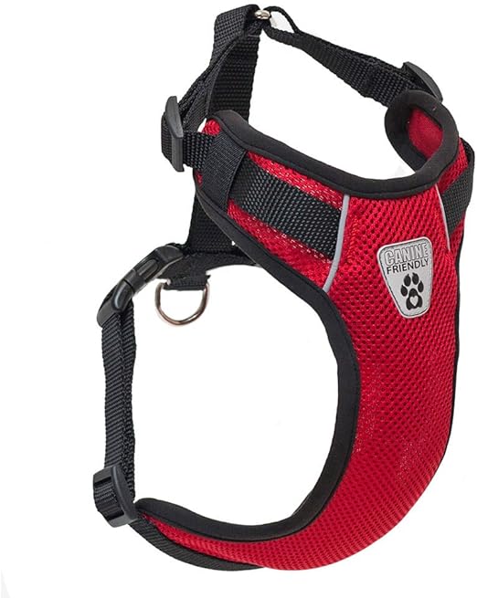 canine friendly life jacket