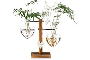 Glass Plant Terrarium with Wooden Stand, Creative Double Heart Glass Hydroponic Vases, Modern Plant Propagation Station Deskt