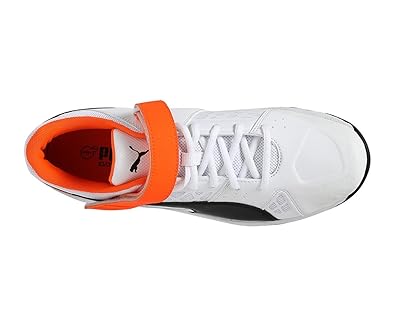 puma evospeed 18.1 cricket shoes