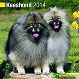 Keeshond 2014 Wall Calendar