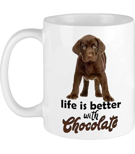 Imagine This! Auto-Magnet 'I Love My Lab' – Schokoladen Labrador, 2 Stück à 17,8 Cm