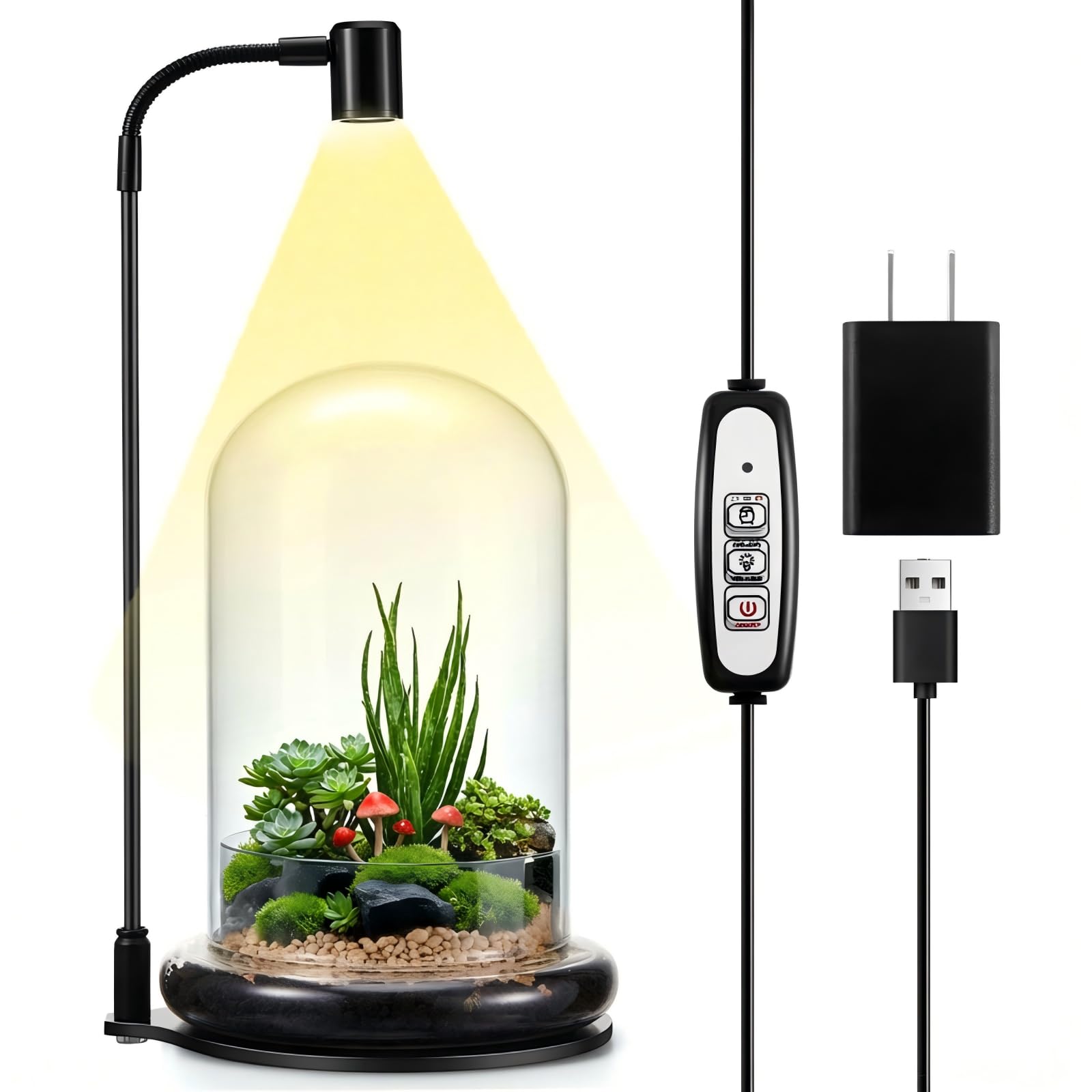 Photo 1 of Maxdot Plant Terrarium Kit with Grow Light, 4.8'' x 7.87'' Glass Dome Terrarium with Air Hole and Base, Succulent Air Planter Fern Moss Micro Landscape Vase for Home Office Tabletop Decoration