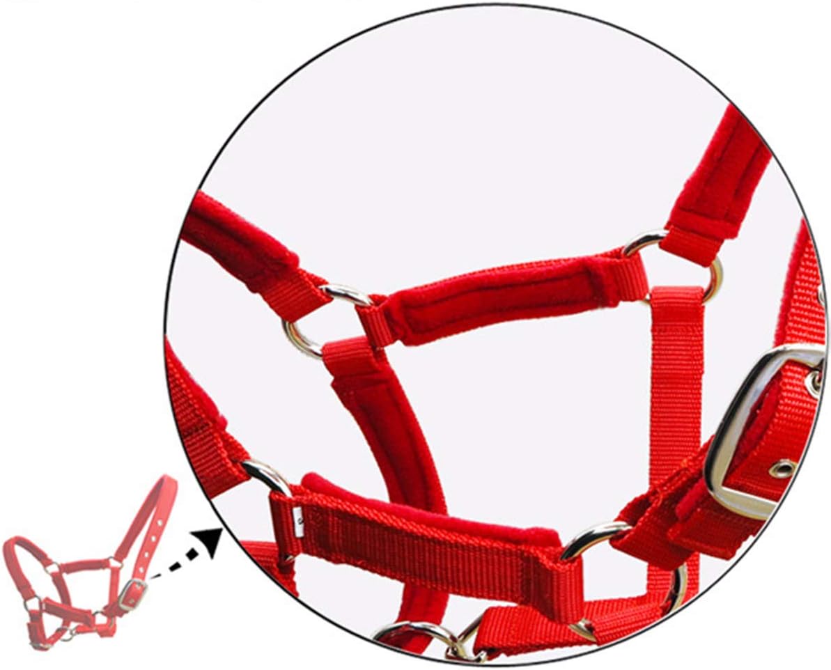 Queen.Y Horse Halter Durable Thickened Adjustable Horse Head Collar Horse Riding Racing Equipment: Sports & Outdoors
