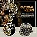 Rabbitroom Turtle Ashtrays for Cigarettes Ashtray with Lid Cute Creative Resin Ash Tray Cigarettes for Home Office, Porch Patio Decorations Outdoor Indoor Ashtray Turtle Stone Gift for Men (Turtle)