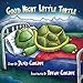 Good Night Little Turtle