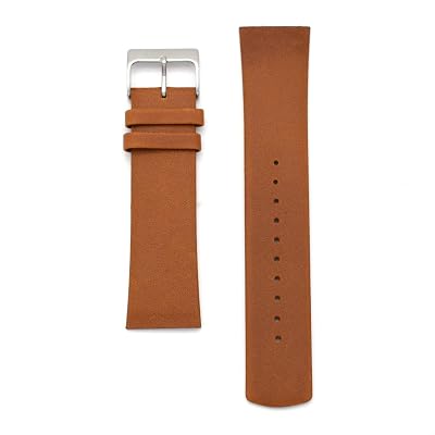 Replacement Watch Band for Skagen Mens Watches 22mm with Screws