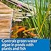 Pondcare Microbial Algae Clean Green Water Biological Inhibitor 64 oz Bottle