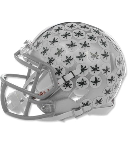 Ohio State Buckeyes NCAA Mini SPEED Helmet by Riddell : Sports Related Collectible Mini Helmets : Sports & Outdoors