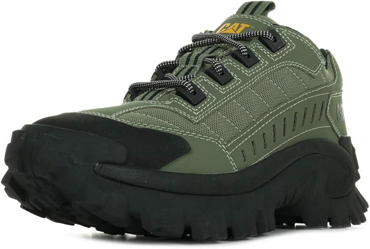 cat intruder shoes price