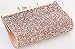 Yuenjoy Womens Rhinestone Clutch Purse Evening Bags with Bow Closure (Champagne)