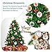 Wood Slices 30Pcs 2.4