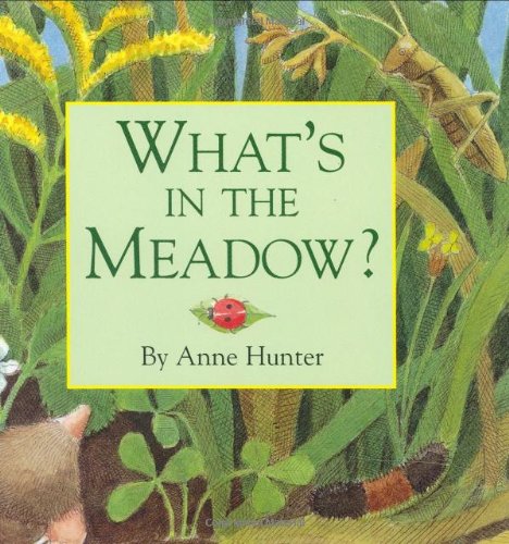 What's in the Meadow?