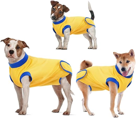 abdominal bandage dog