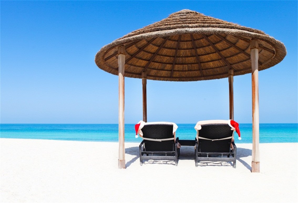 一部予約販売 Csfoto 5x3フィート 背景幕 ラウンジチェア ビーチ下 パビリオン 写真 背景 海辺 リゾート レジャー バケーション リラックス ホリデー 水泳 オーシャン ツアー ジャーニー フォトスタジオ 小道具 ビニール 壁紙 B07g9rfb5p バックペーパー背景布 Www