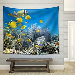 Underwater Coral Reef Scenery with Colorful School of Fish - Fabric Wall Tapestry Home Decor - 51x60 inches