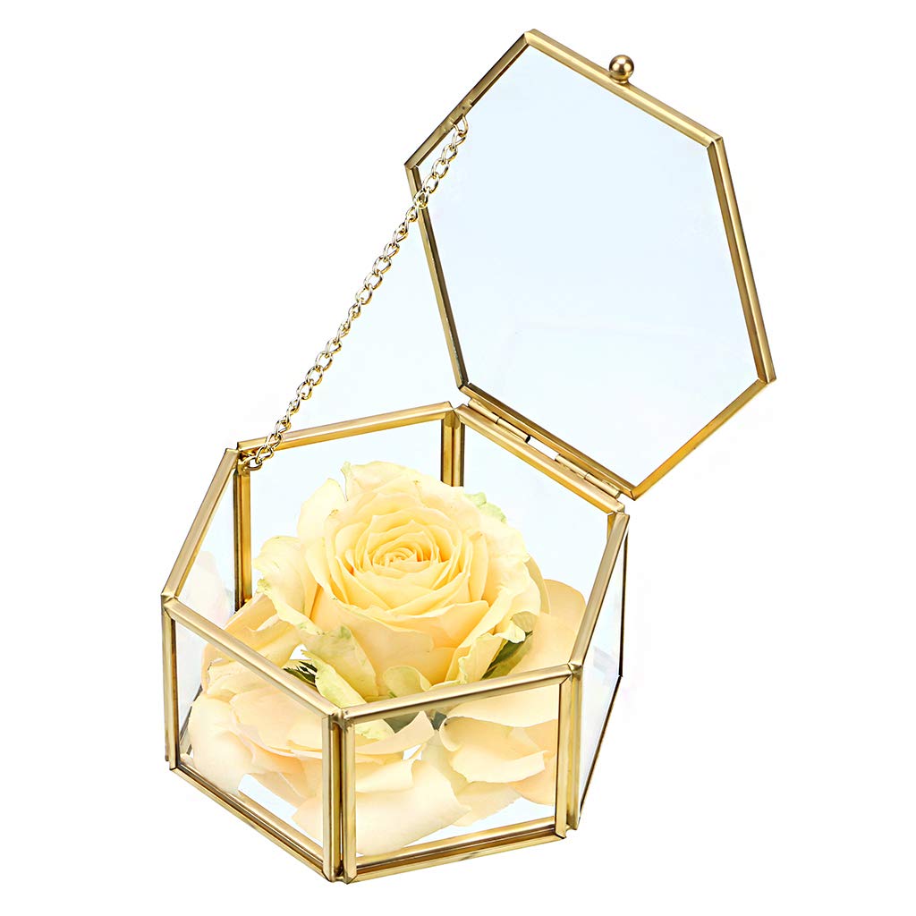 SUMNACON Jewelry Decorative Box Glass Trinket Makeup Organizer Gift Box Jewelry Display Holder for Earrings,Necklaces,Rings (golden,Middle)