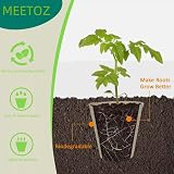 MEETOZ 50x 8cm Round Biodegradable Seedling Pots for Flowers & Indoor Plants view 3