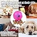 CHLEBEM Interactive Puppy Toys Ball for Small Medium Dogs - Chew Teething Teeth Cleaning Treat Food Dispensing Tough Durable Rubber Pet Ball (Pink)