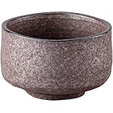 Waraku Fuuka Japanese Traditional Handcrafted Mino Matcha Chawan Tea Bowl Cup Ceremony Tableware Pottery (Gin Kesshou)