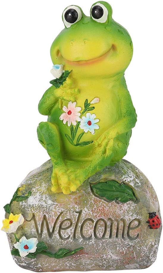 10 Mejores Anfibios Para Estanques De Jardín Ranas | (2020)