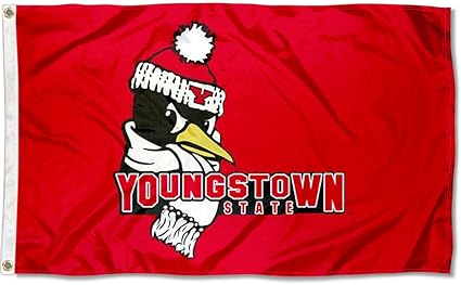 Amazon Com Ysu Penguins Large 3x5 College Flag Sports Outdoors