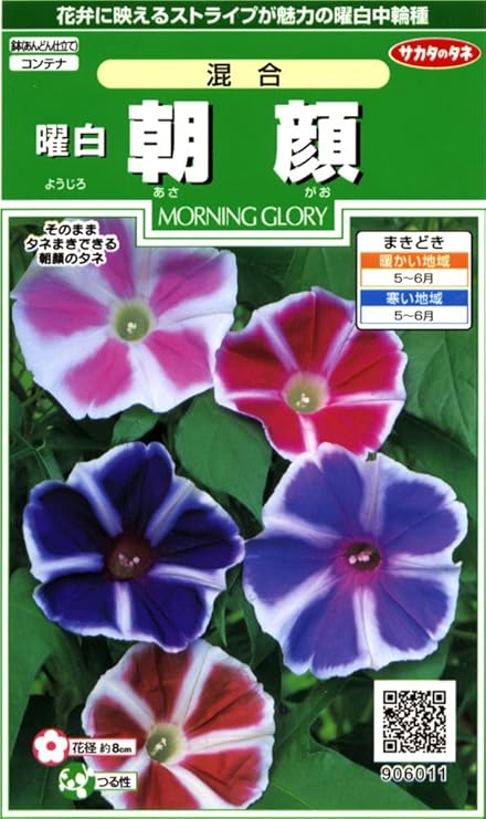 Amazon サカタのタネ 実咲花6011 曜白朝顔 混合 花