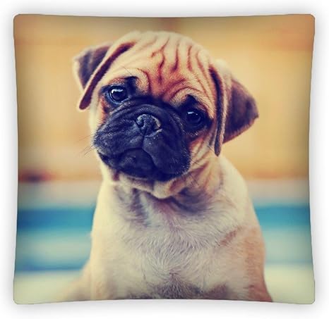 Amazon Co Jp パグ Pug 犬 Dog クッション Cushion 40cm X 40cm 8502 並行輸入品 ホーム キッチン