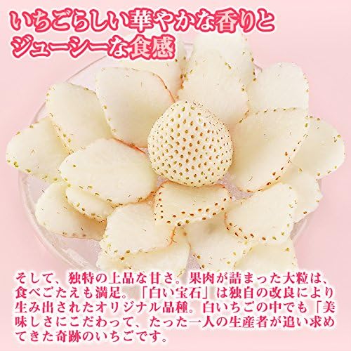 佐賀県唐津産 大粒 白いちご 白い宝石 2パック 苺 イチゴ 贈答用 ギフト オーガニックサイバーストア いちご 通販 Amazon 佐賀県唐津産 大粒 白いちご 白い宝石 2パック 苺 イチゴ 贈答用 ギフト オーガニックサイバーストア いちご 通販 Amazon