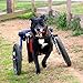Walkin' Wheels Dog Wheelchair - for Med/Large Dogs 50-69 lbs - Veterinarian Approved - Dog Wheelchair for Back Legs