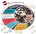 SPOT Ethical Pet Interactive Seek-A-Treat Flip 'N Flap Bone Dog Toy Puzzle That Will Improve Your Dog's IQ. Specially Designed for Dog Training Treats., Multicolor; 1.65 pounds (5652)