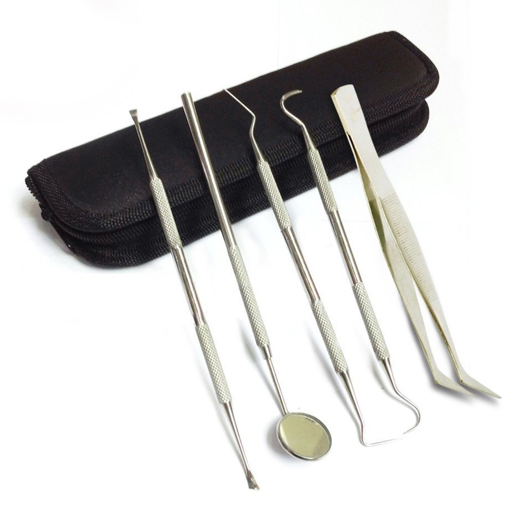 Dental Tool Set 6 Piece By Industrial