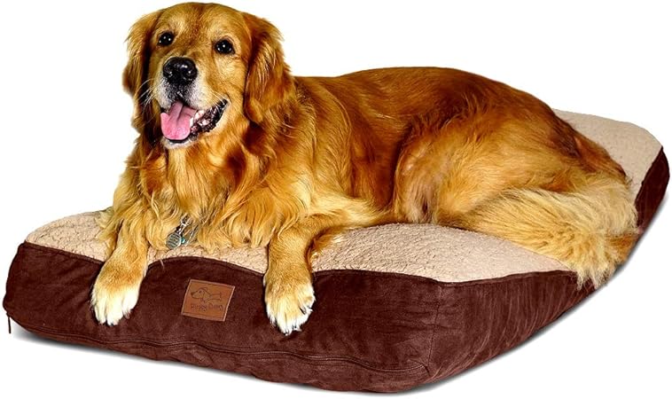 high up dog bed
