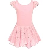 Arshiner Girls Ruffle Sleeve Ballet Dance Dress Tutu Skirted Leotard