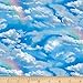 Landscape Medley Rainbow Sky Fabric By The Yard