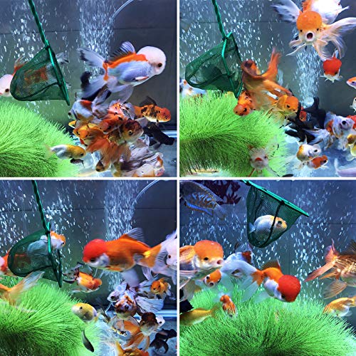 6 Awpeye+Aquarium+Fishing+Plastic+Handle