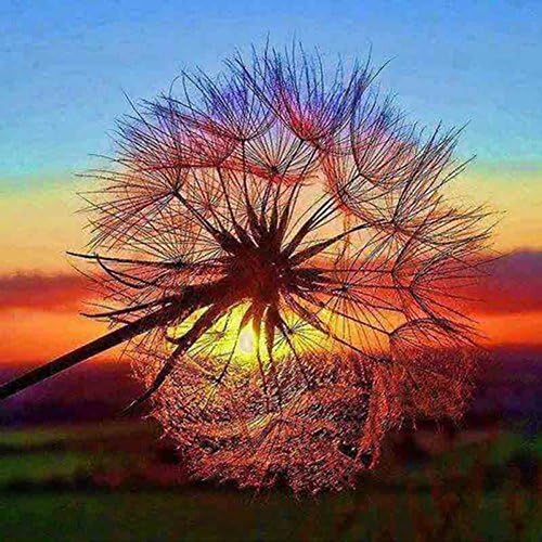 5D DIY Diamond Painting by Number Kit,Full Drill Embroidery Painting Cross Stitch Art Craft Home Decoration (Dandelion 2)
