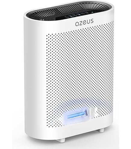 Amazon.com: Azeus True HEPA Air Purifier GL-FS32 | 4-Stage