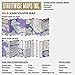 Streetwise Vancouver Map - Laminated City Center Street Map of Vancouver, Canada