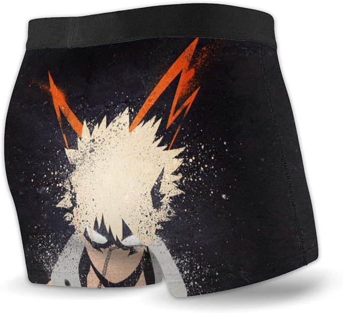 my hero academia boxer briefs