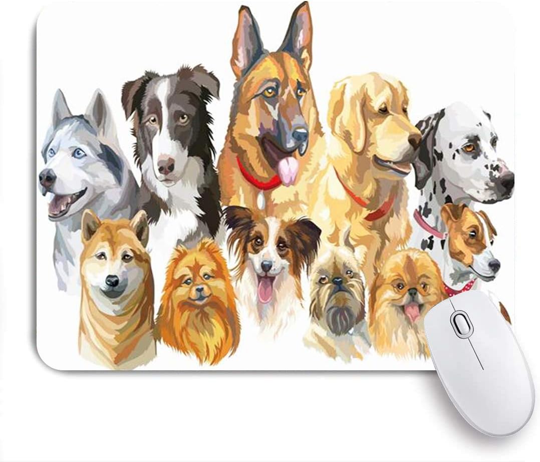 dalmatian pomeranian