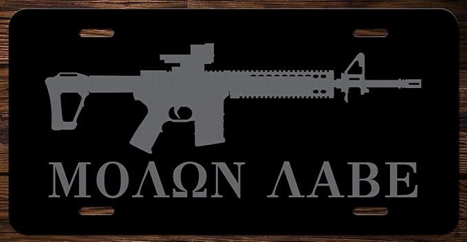 I Make My Own Homeland Security Skull Guns Vanity Front License Plate Tag Kce227